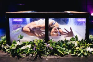 Read more about the article REVIEW: Hamlet by New York Circus Project, Edinburgh Fringe (2025)