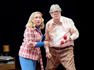 Read more about the article REVIEW: How the Other Half Loves, Old Vic (2026)